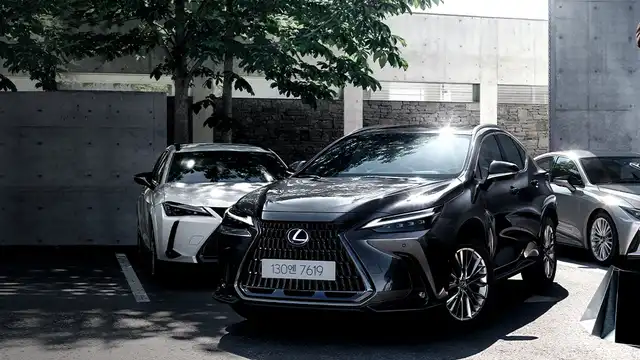 렉서스 NX 사진 6