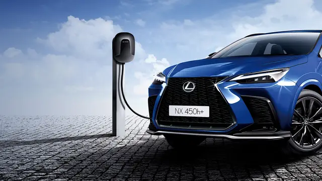 렉서스 NX 사진 10
