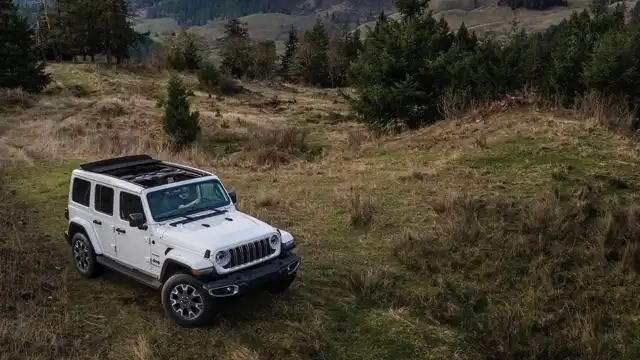 지프 랭글러 사진 8