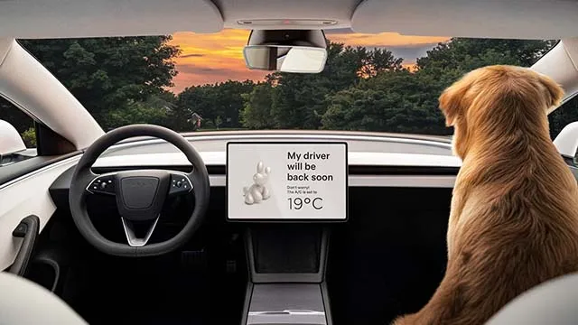 테슬라 모델 3 사진 5