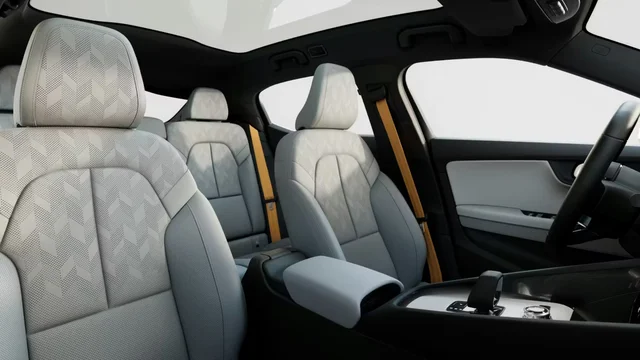 폴스타 Polestar 2 사진 5