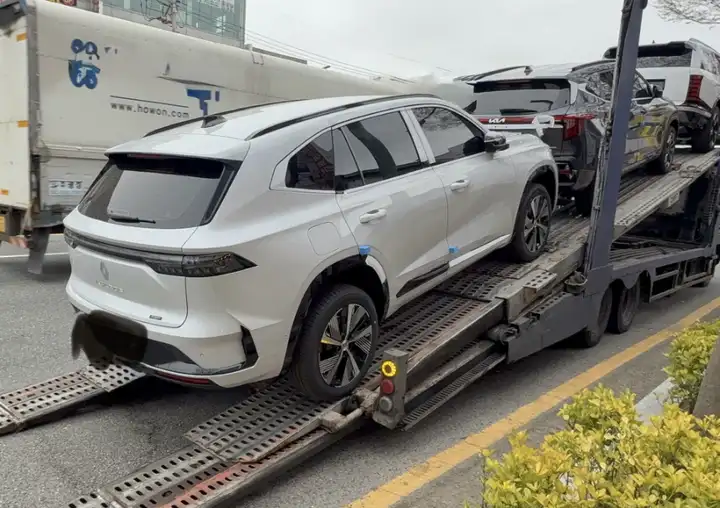 르노코리아-그랑-콜레오스