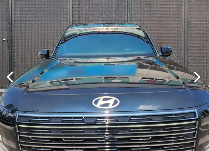 현대-팰리세이드