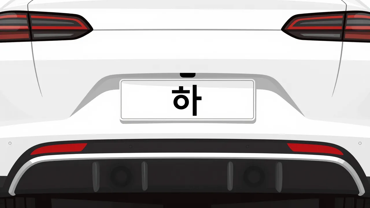 하 번호판 차량